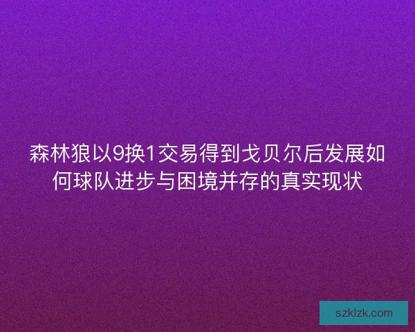 森林狼以9换1交易得到戈贝尔后发展如何球队进步与困境并存的真实现状