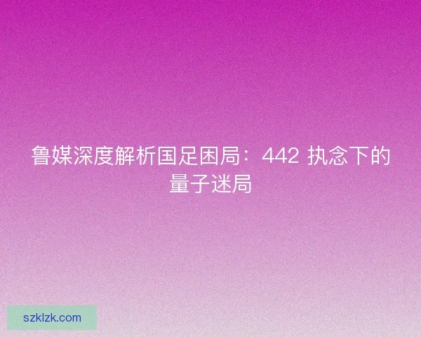 鲁媒深度解析国足困局：442 执念下的量子迷局
